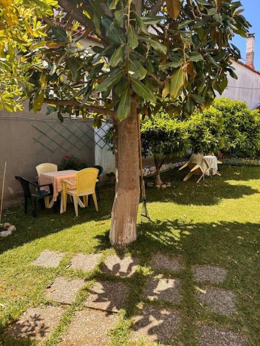 Apartmán Family Woodland Oasis Vipgreece Kírinthos Exteriér fotografie